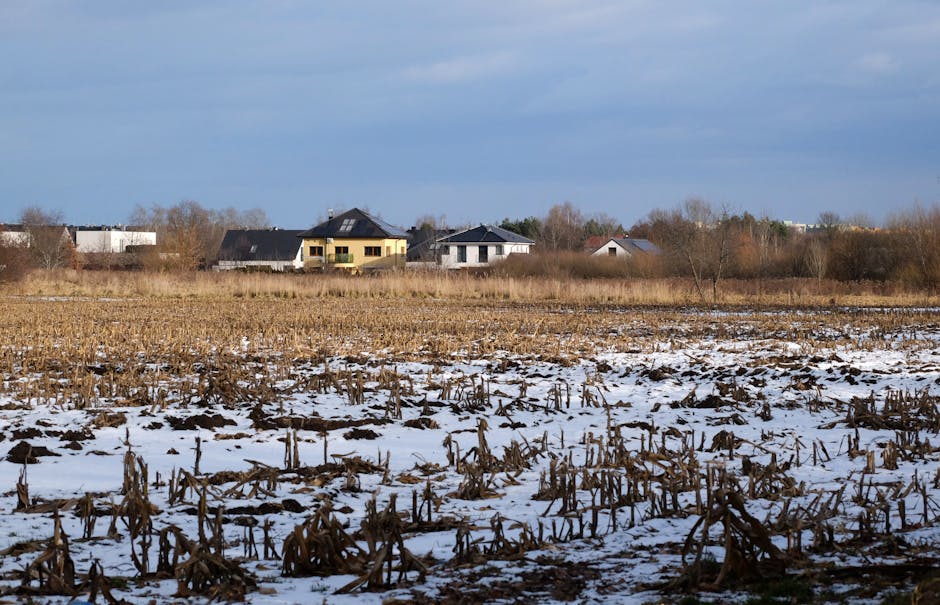 A wide view of a rural landscape showing a recently harvested agricultural field with remnants of stalks and stubble, partially covered in patches of snow. In the background, a row of modern residential houses with light-colored walls and dark roofs is visible beyond a line of leafless trees and shrubbery. The sky above is mostly cloudy with hints of blue, casting diffused natural light over the scene. The foreground features uneven soil with dark, moist patches interspersed with snow, indicating winter conditions. The scene reflects a quiet, suburban environment where private land and outdoor spaces could be cleared of debris or waste as part of on-site clearance or alternative waste handling, similar to the services provided by Waste Collection Haringey for rubbish removal and property clearance tasks.